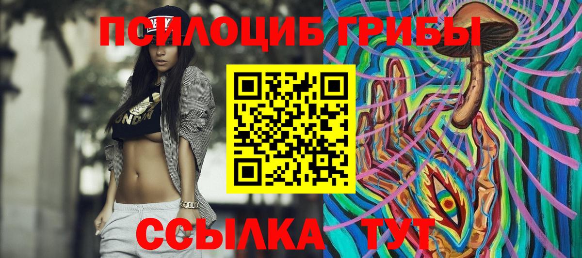 Псилоцибиновые грибы мицелий Нижнеудинск
